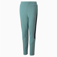 Load image into Gallery viewer, Evostripe Youth Pants