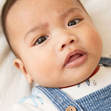 Load image into Gallery viewer, Denim Applique Dog Dungaree Set (0mth-18mths)