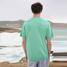 Load image into Gallery viewer, Aqua Blue Regular Fit Essential Crew Neck T-Shirt