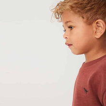 Load image into Gallery viewer, Rust/Brown Long Sleeve T-Shirt And Leggings Set (3mths-5yrs)