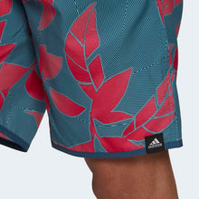 Load image into Gallery viewer, NATURE CLX CL - Allsport