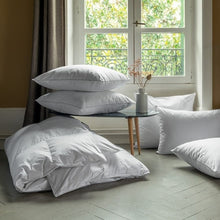 Load image into Gallery viewer, Couette en duvet de Canard Mont Blanc (220x240)