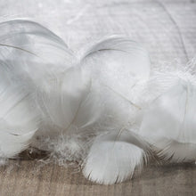Load image into Gallery viewer, Couette en duvet de Canard Mont Blanc (220x240)