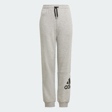 Load image into Gallery viewer, ESSENTIALS FRENCH TERRY PANTS - Allsport