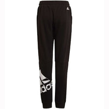 Load image into Gallery viewer, LOGO PANTS - Allsport