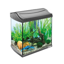 Load image into Gallery viewer, TETRA AQ_ART COMPLETE AQUARIUM SET 30L - Allsport