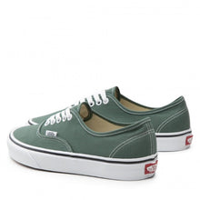 Load image into Gallery viewer, Color Banding Authentic Authentic