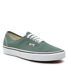 Load image into Gallery viewer, Color Banding Authentic Authentic