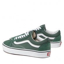 Load image into Gallery viewer, COLOR THEORY OLD SKOOL SHOE