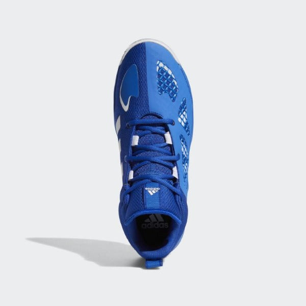 pro n3xt 2021 shoes