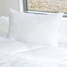 Load image into Gallery viewer, Set de 2 Oreillers ALASKA 100% naturel - Allsport