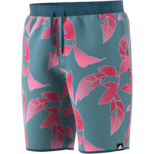 Load image into Gallery viewer, NATURE CLX CL - Allsport