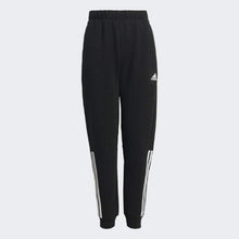 Load image into Gallery viewer, STADIUM PANTS - Allsport