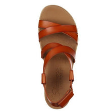 Load image into Gallery viewer, BEVERLEE - DANCE MOVES - Allsport