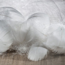 Load image into Gallery viewer, ALPILLES COUETT COL UNIQ - Allsport