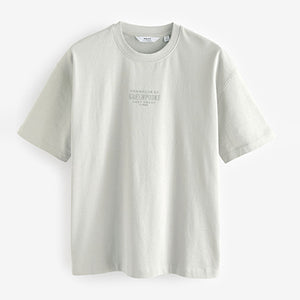 Grey Single Relaxed Fit Graphic Heavyweight T-Shirt