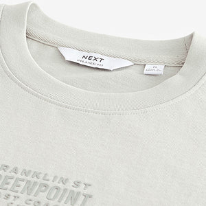 Grey Single Relaxed Fit Graphic Heavyweight T-Shirt