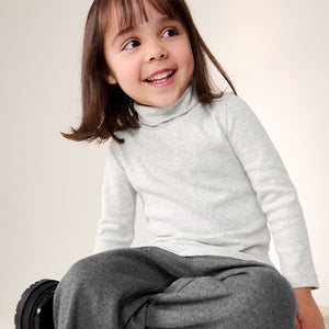 Grey Brushed Long Sleeve Roll Neck Top (3mths-6yrs)