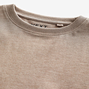 Natural Stone Regular Fit Short Sleeve T-Shirt