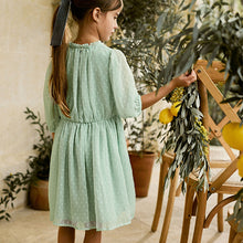 Load image into Gallery viewer, Mint Green Chiffon Corsage Dress (3-11yrs)
