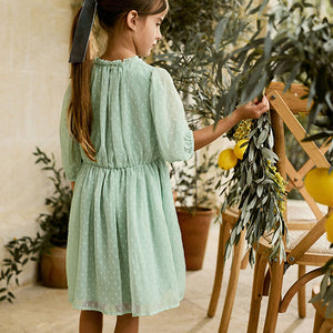 Mint Green Chiffon Corsage Dress (3-11yrs)