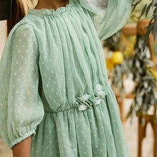 Load image into Gallery viewer, Mint Green Chiffon Corsage Dress (3-11yrs)
