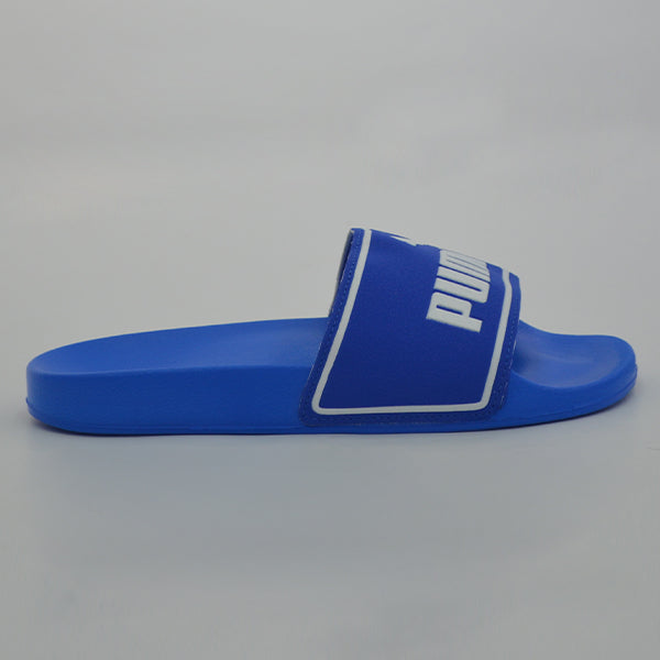 Poolcat Slide ZADP