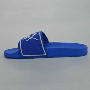 Poolcat Slide ZADP