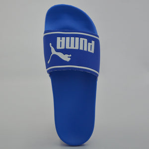 Poolcat Slide ZADP