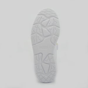 Evolve Court WhT