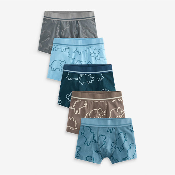 Linear Dino Print Pattern Trunks 5 Pack