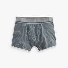 Load image into Gallery viewer, Linear Dino Print Pattern Trunks 5 Pack
