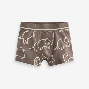 Linear Dino Print Pattern Trunks 5 Pack