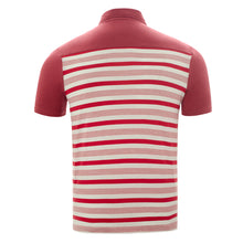 Load image into Gallery viewer, POLO STRIPE NORMAL JORLAN
