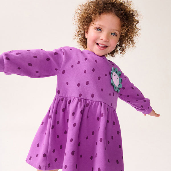 Purple Character Long Sleeve Jumper Dress (6mths-6yrs)