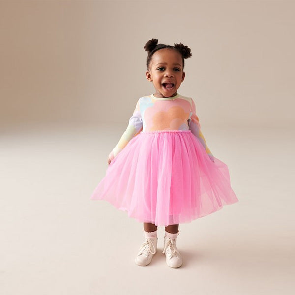 Pink Rainbow Long Sleeve Mesh Dress (3mths-6yrs)