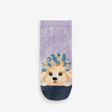 Load image into Gallery viewer, Grey/Purple Dog Spa Trainer Socks 4 Pack
