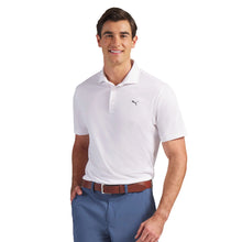 Load image into Gallery viewer, Pure 3.0 Golf Polo Men

