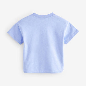 Blue 100% Cotton Short Sleeve Appliqué T-Shirt (3mths-6yrs)