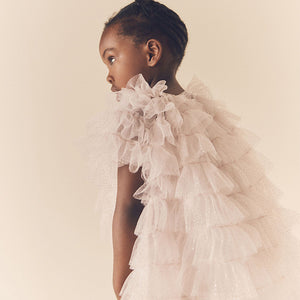 Shell Pink Sparkle Ruffle Mesh Dress (3mths-6yrs)