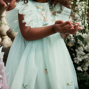 Pale Blue Embroidered Mesh Party Dress (3mths-5-6yrs)