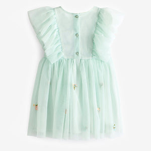 Pale Blue Embroidered Mesh Party Dress (3mths-5-6yrs)