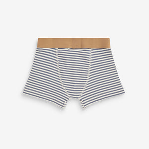 Blue/Grey Mini Bright Trunks 5 Pack