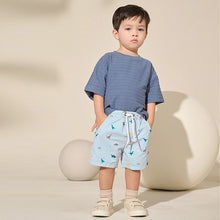 Load image into Gallery viewer, Pale Blue Dino Print Pull On Shorts (3mths-6yrs)
