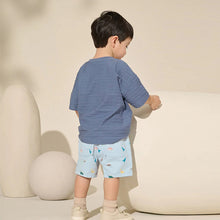 Load image into Gallery viewer, Pale Blue Dino Print Pull On Shorts (3mths-6yrs)
