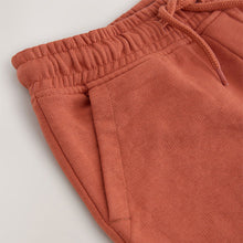 Load image into Gallery viewer, BASIC SHORT RUST
