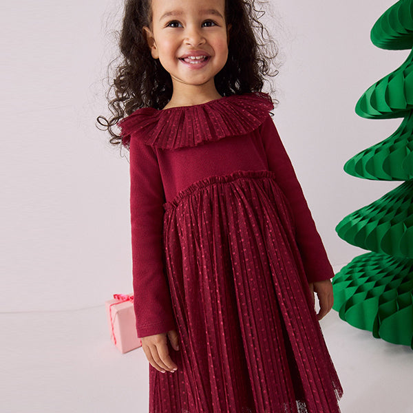 Burgundy Long Sleeve Mesh Dress (3mths-6yrs)