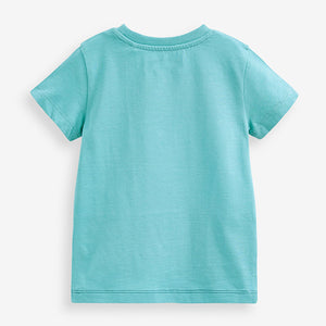 Blue White Stripe Short Sleeve Colourblock T-Shirt (3mths-6yrs)