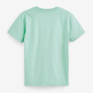 Green Mint Regular Fit Short Sleeve T-Shirt (3-12yrs)