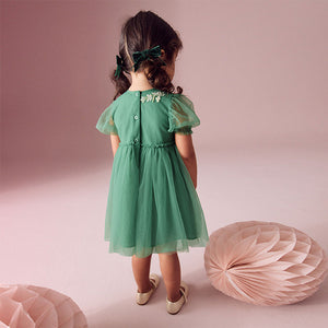 Green Embroidered Mesh Party Dress (3mths-6 yrs)